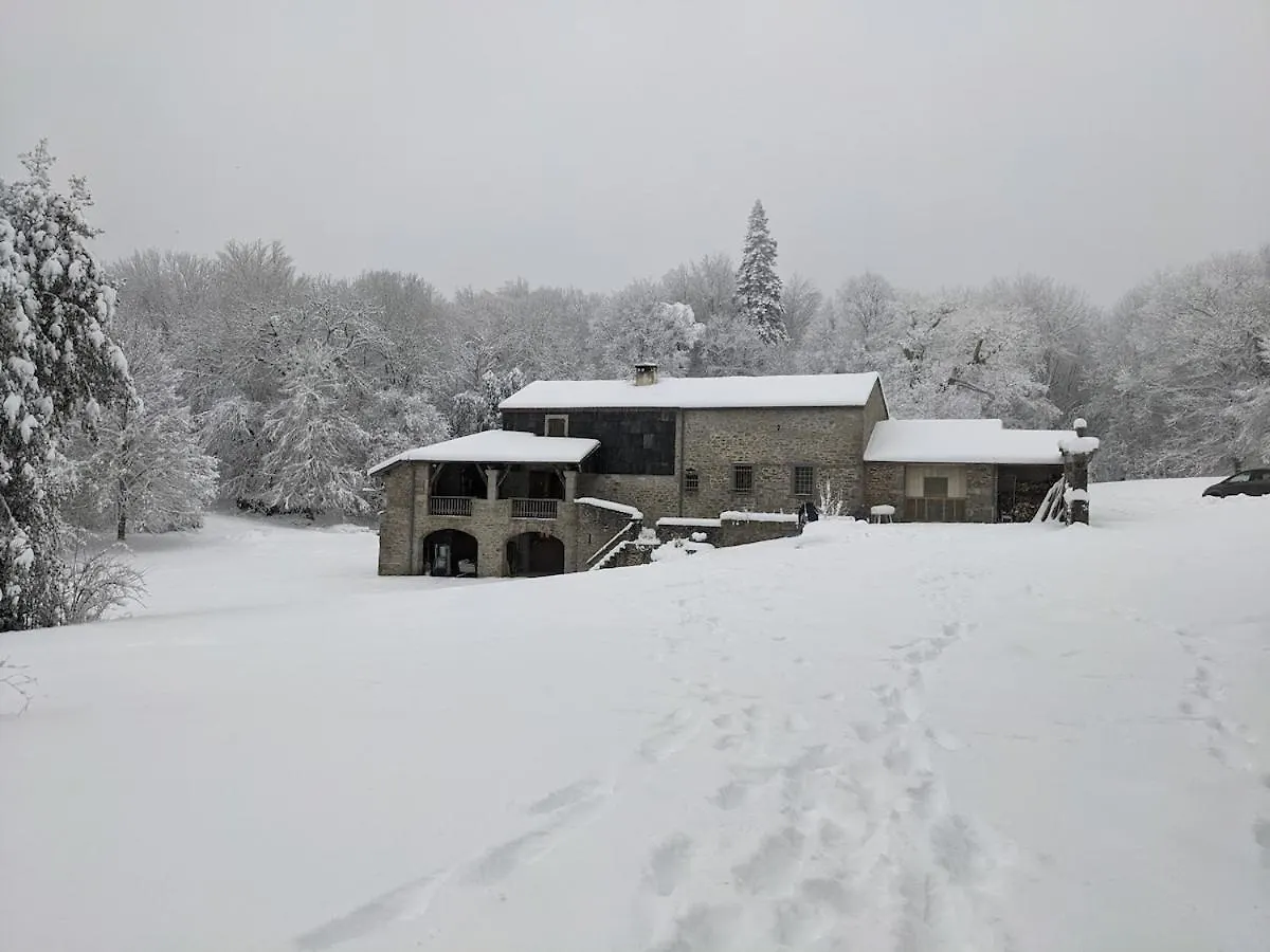 Maison Au Coeur De La Foret Dans Le Sidobre - Gr36 Lacrouzette 0*,  فرنسا